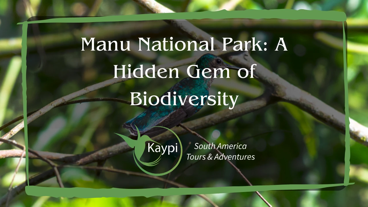 Manu National Park: A Hidden Gem of Biodiversity